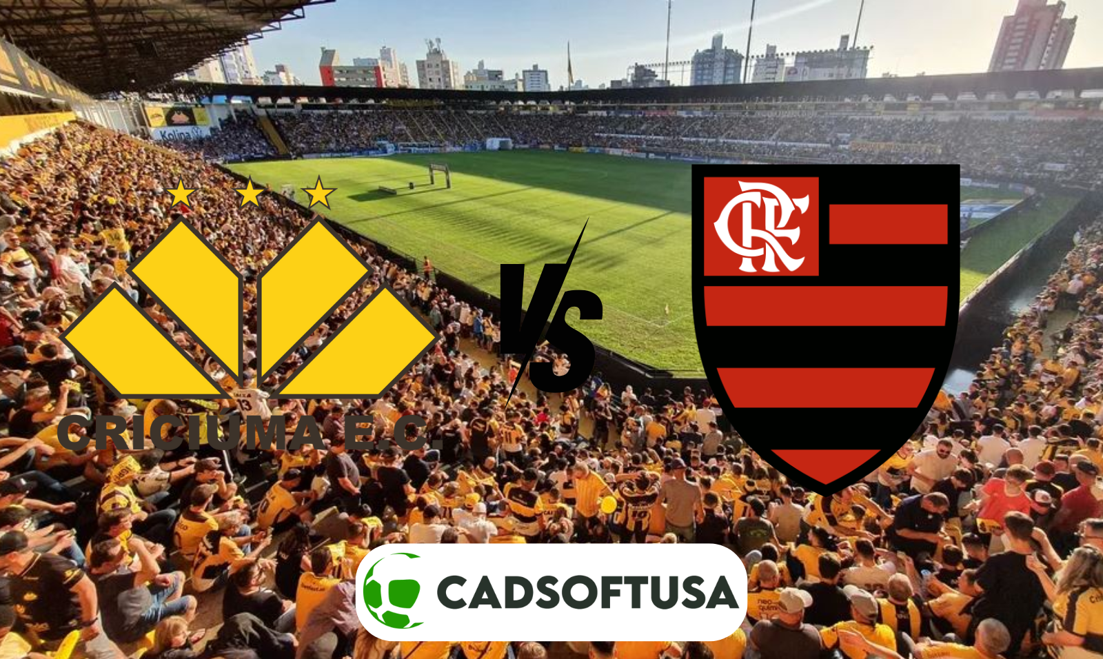 Palpites Criciúma x Flamengo – Brasileirão Série A 2024