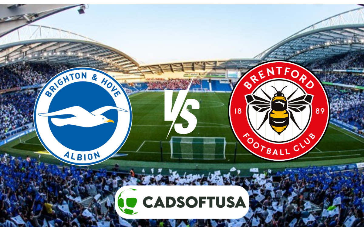 Palpites Brighton x Brentford - Premier League 24/25